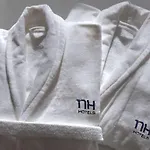 Nh Toulouse Airport Hotel
