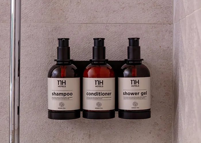 Nh Toulouse Airport 4* 블라냑