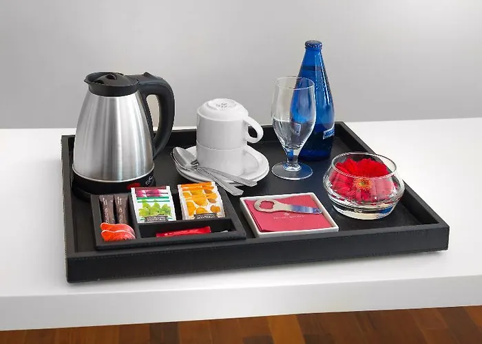 Nh Toulouse Airport 4* 블라냑