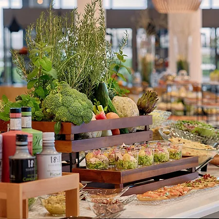 Nh Toulouse Airport Hotel 4*