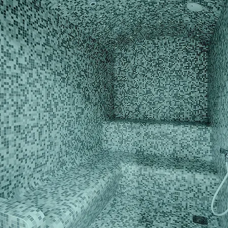 Nh Toulouse Airport Otel