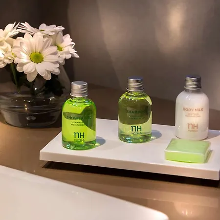 Nh Toulouse Airport Hotel 4*