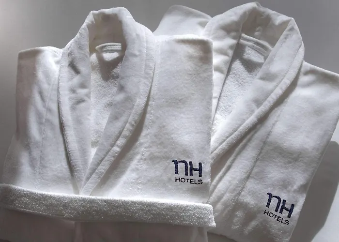 Nh Toulouse Airport Hotel