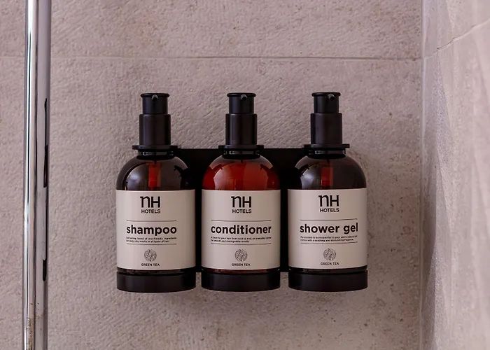 Nh Toulouse Airport Hotel 4*