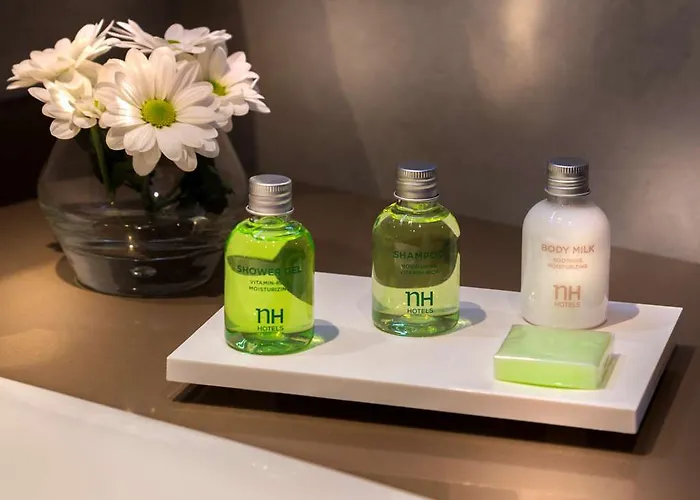 Nh Toulouse Airport ホテル 4*